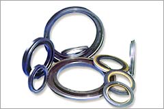 External Lip Seals 